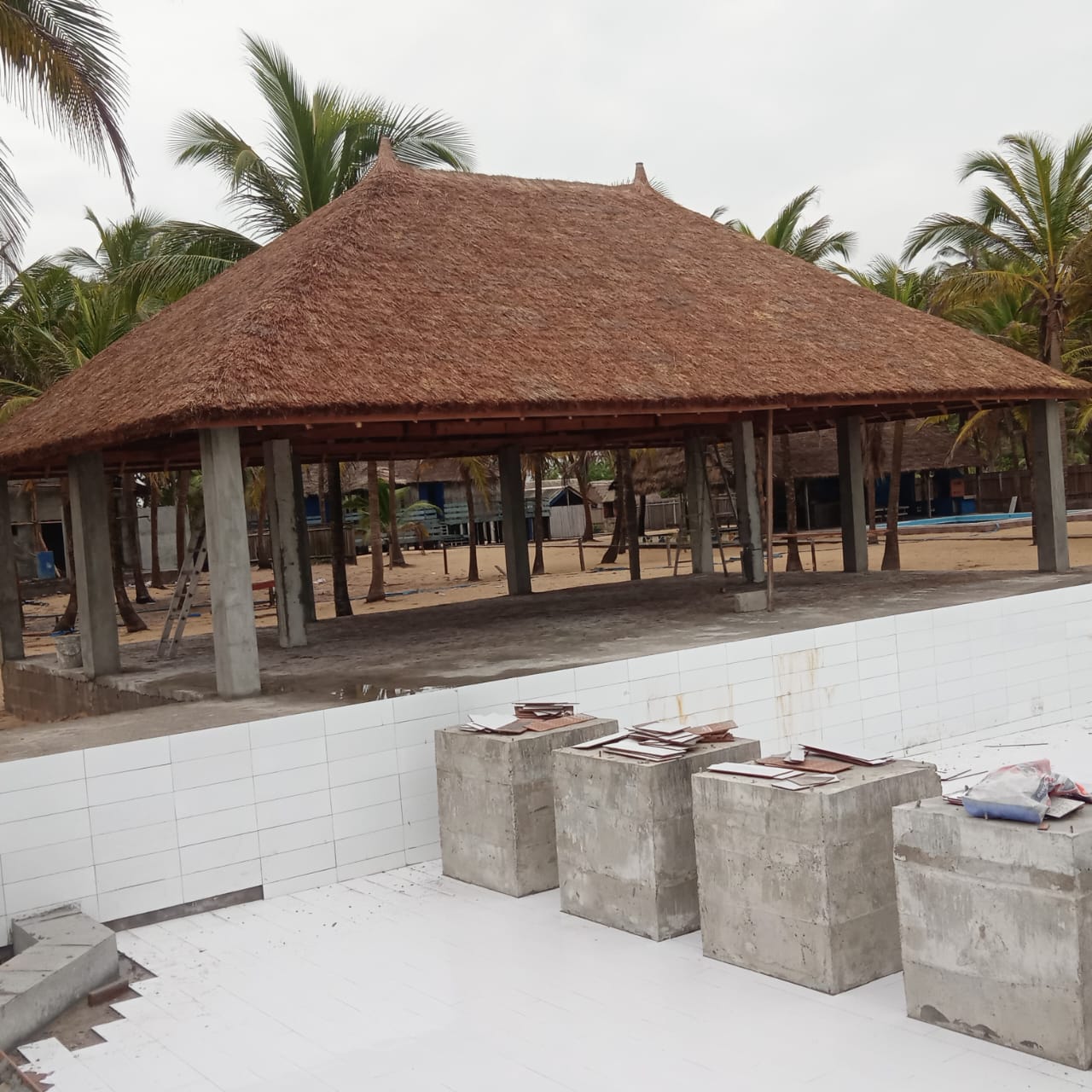 whatsapp image 2026 03 11 at 11.29.27 am