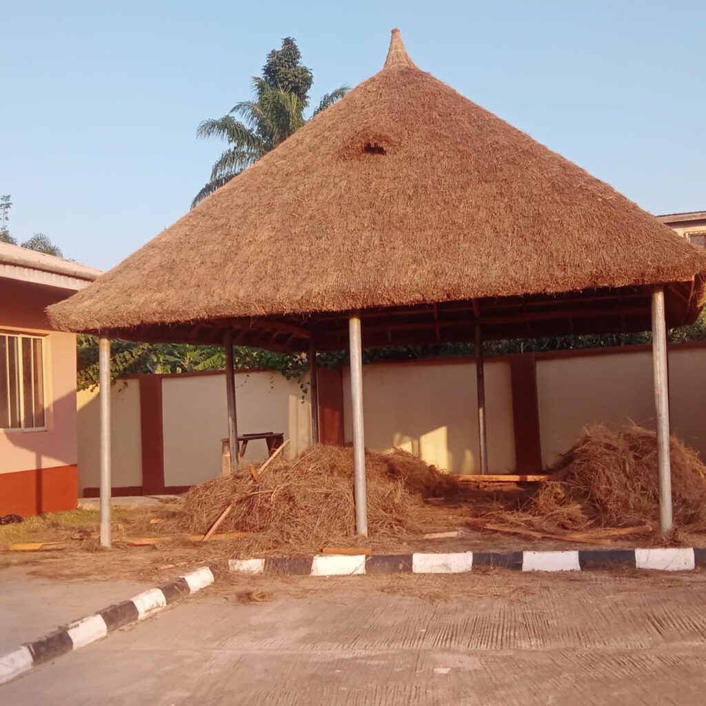 whatsapp image 2026 03 11 at 11.29.44 am