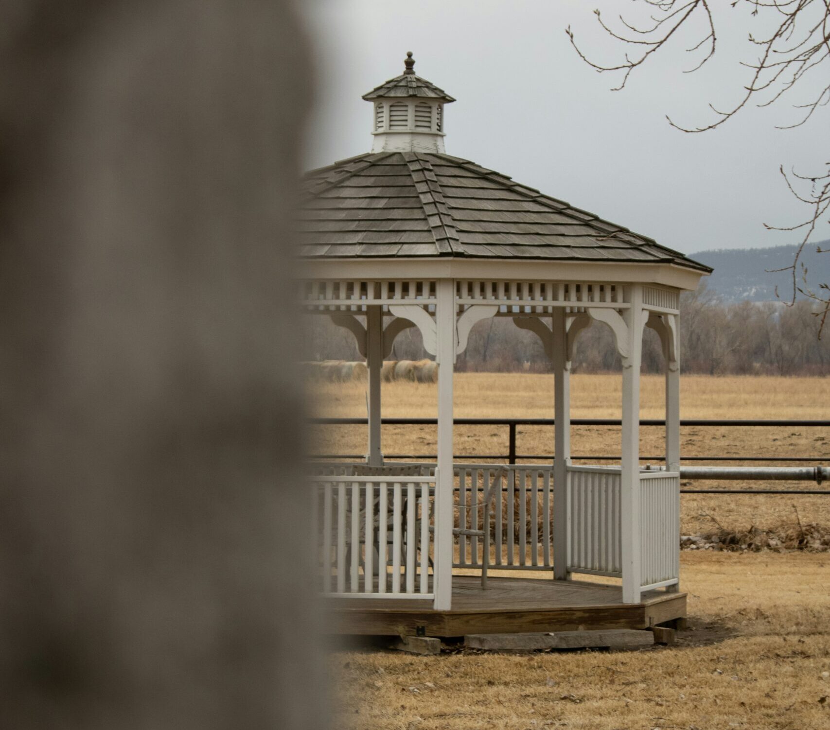 ingenious0range obwwhbj dug unsplash