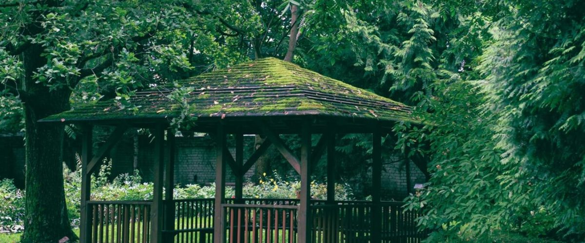 Hello World Featured Image